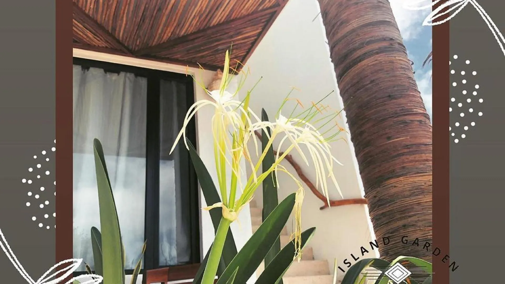 Ikal Island Garden - Adults Only Aparthotel Isla Mujeres Mexico